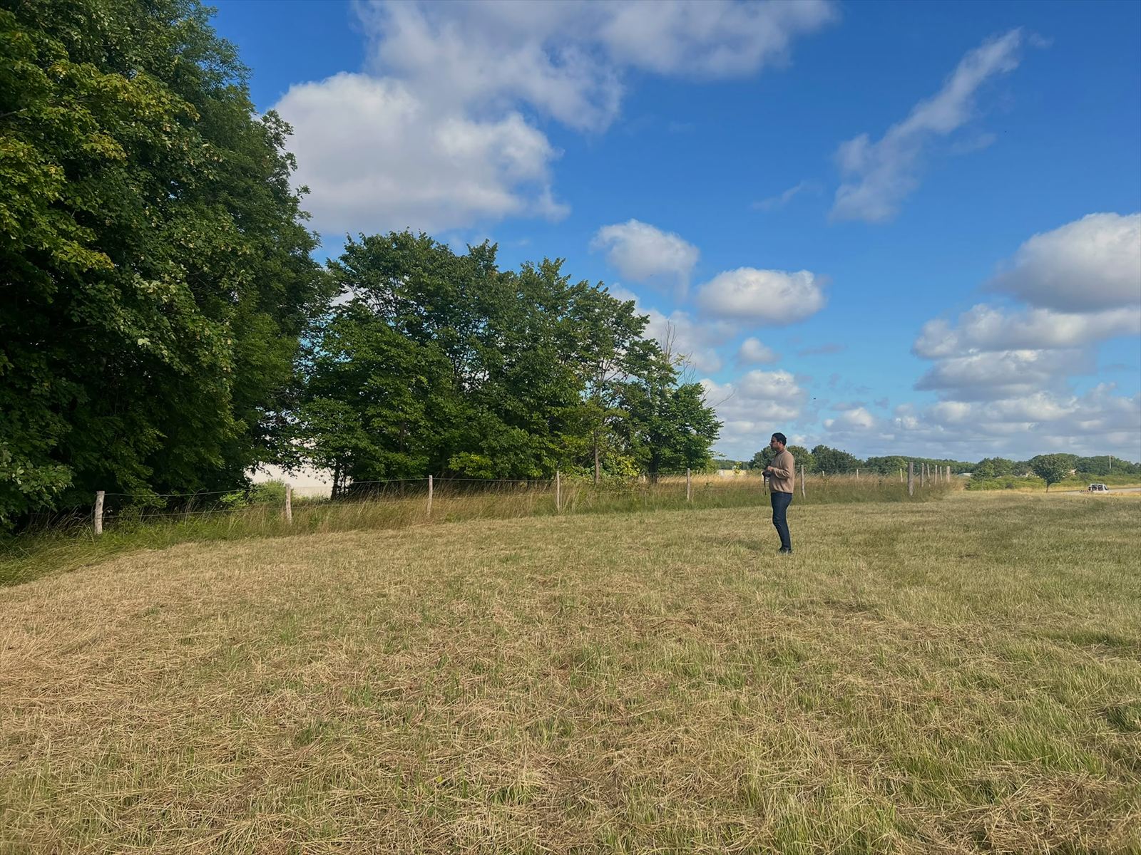 Natur og skov nær Svaleholm Gaard og Sagnlandet Lejre